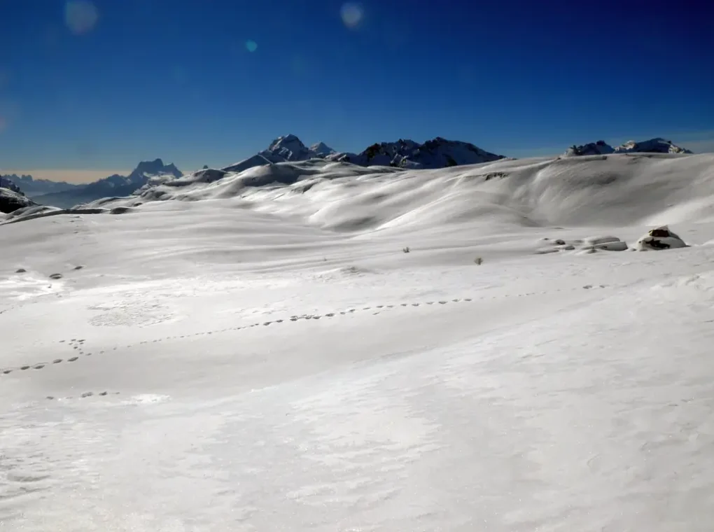 Skitourenwoche Hochpustertal